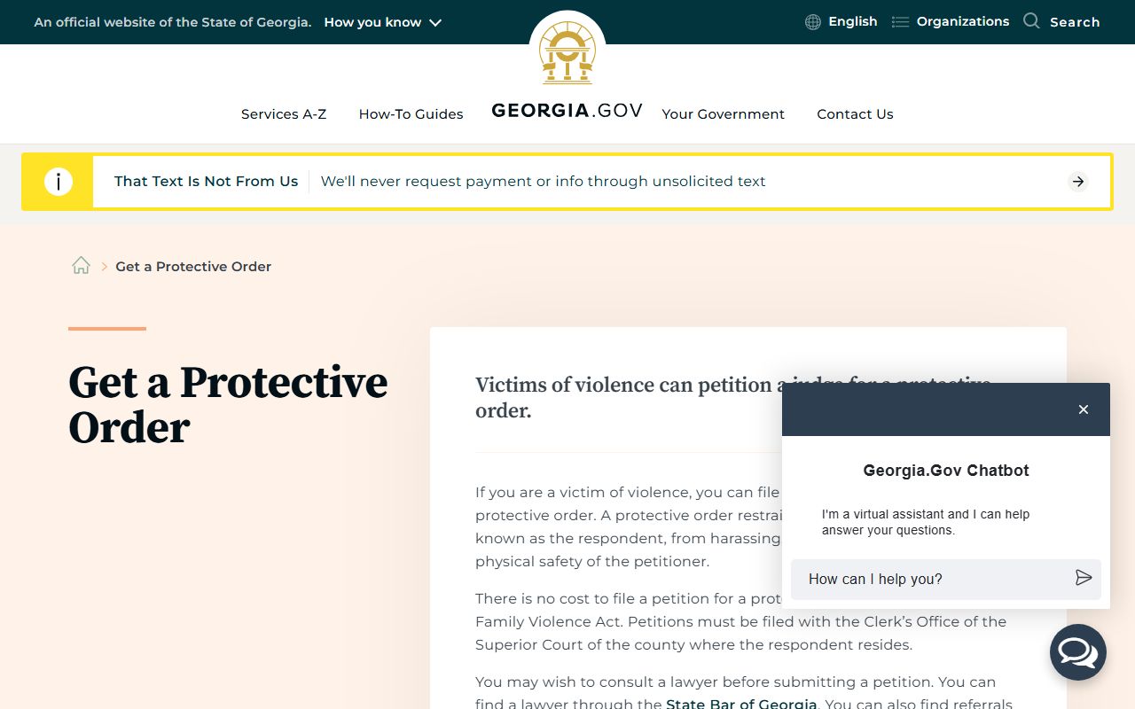 Georgia family court records protective order information